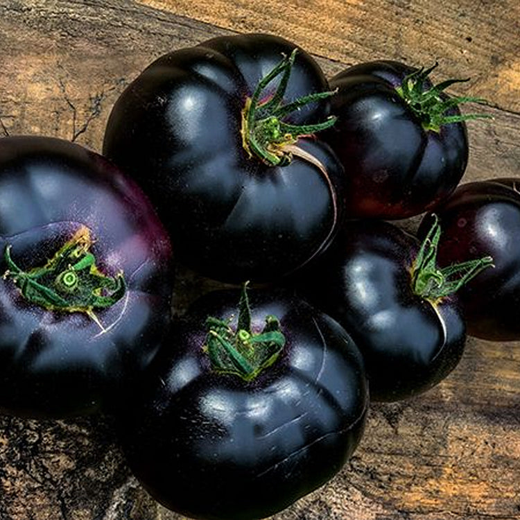 Black Pearl Tomato Seeds