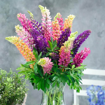 Lupine Flower Seeds (Mixed Color)
