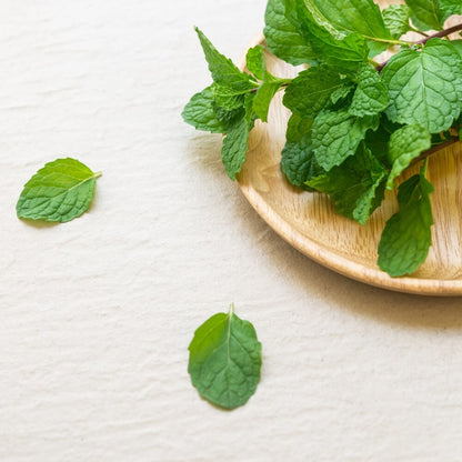 Peppermint Seeds