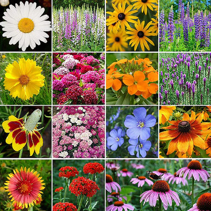 Mixed Wild Flower Seeds