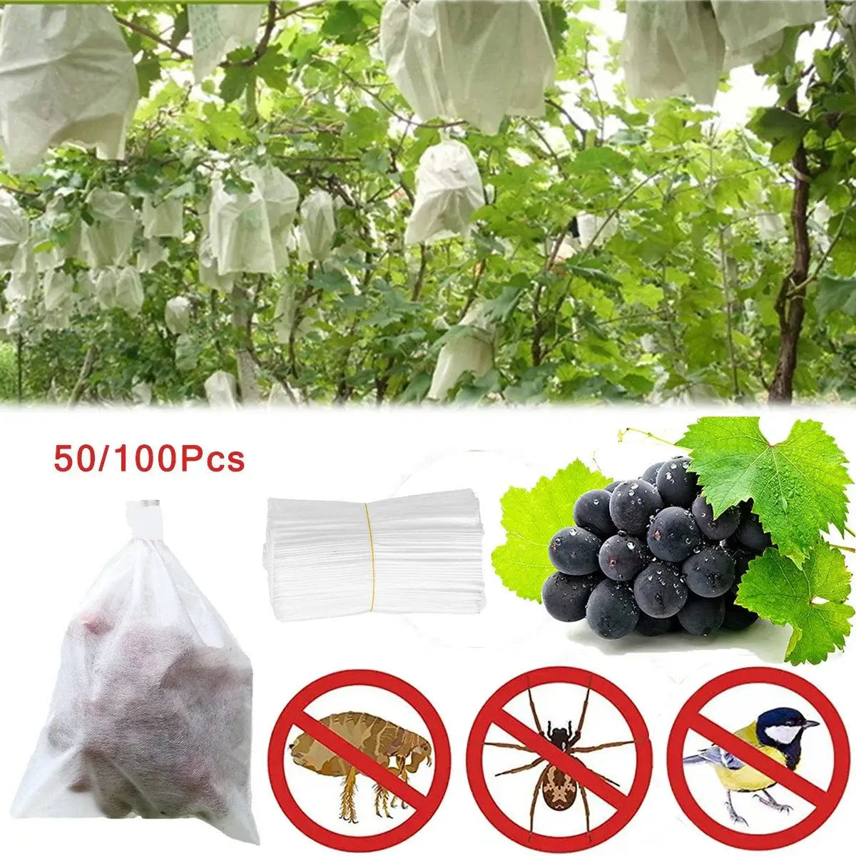 Fruit & Grape Protection Bags – Nonwoven Mesh Anti-Bird & Insect Covers